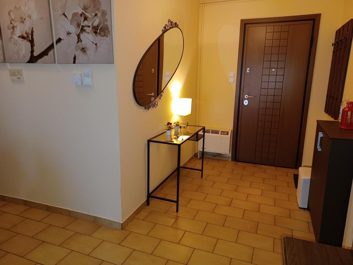 Central Apartment 约阿尼纳 外观 照片