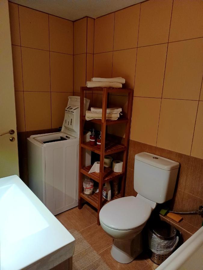 Central Apartment 约阿尼纳 外观 照片