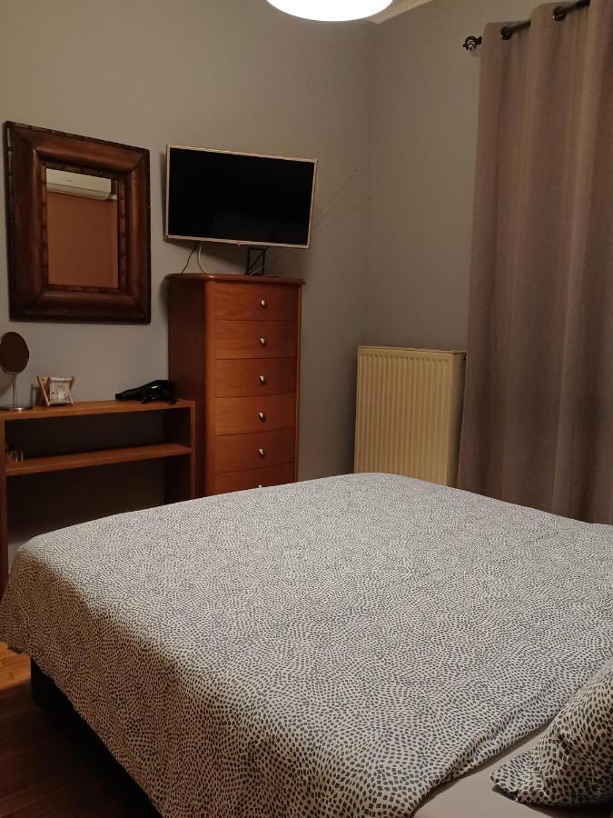 Central Apartment 约阿尼纳 外观 照片