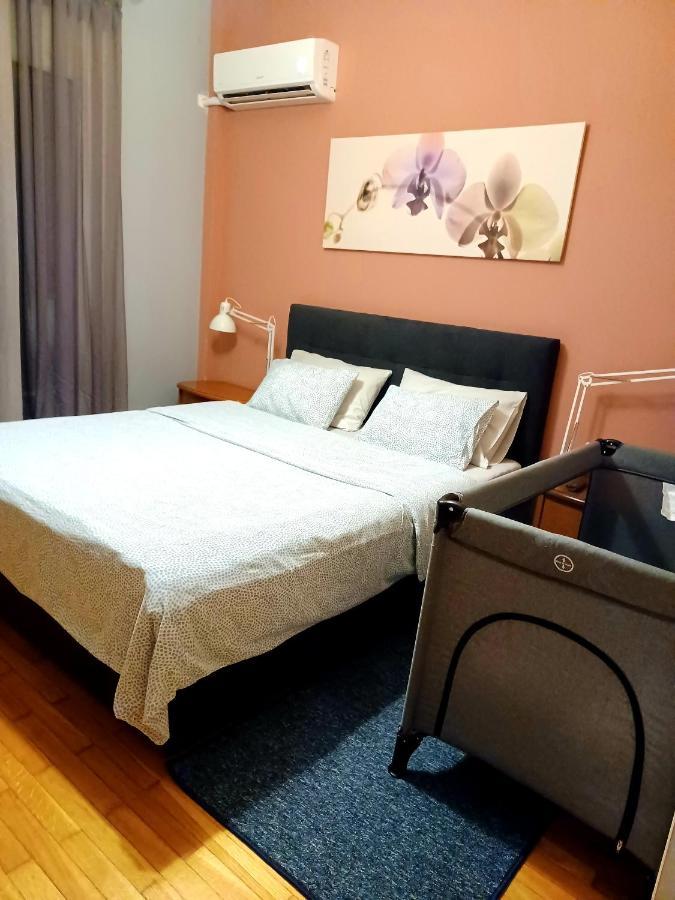 Central Apartment 约阿尼纳 外观 照片